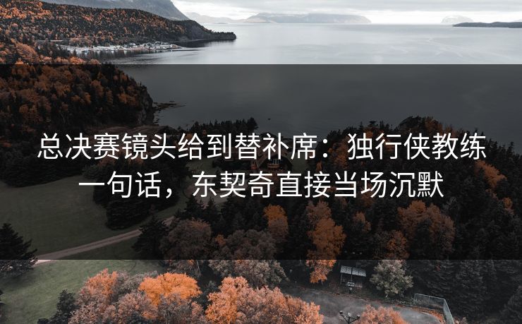 总决赛镜头给到替补席：独行侠教练一句话，东契奇直接当场沉默