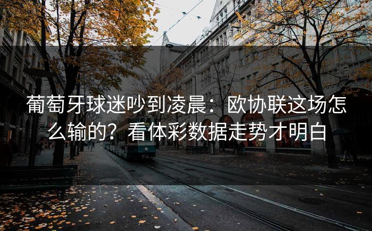 葡萄牙球迷吵到凌晨：欧协联这场怎么输的？看体彩数据走势才明白